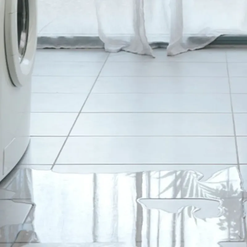 Appliance Leak Cleanup in Meridian, ID