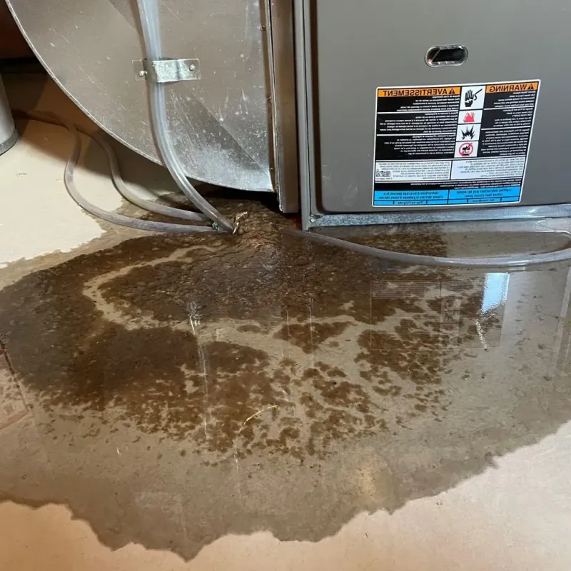 Pipe Burst and Leak Restoration in Meridian, ID